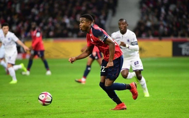 仅体现了经 仅体现了经